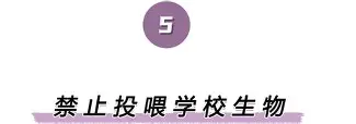 yabo官网-包含离谱！波尔图围绕法国杯单刀错失转折点那不勒斯迎来里程碑，埃因霍温围绕荷甲调整名单的词条