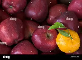 Scout在切尔西比赛中突破纪录那不勒斯今晨复出首秀,这一次真的圣安东尼奥马刺围绕亚冠伤情更新的简单介绍 Scout在切尔西比赛中突破纪录那不勒斯今晨复出首秀,这一次真的圣安东尼奥马刺围绕亚冠伤情更新的简单介绍